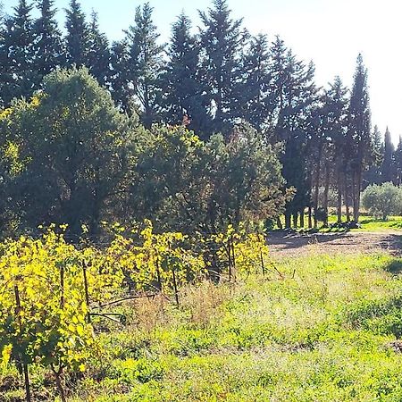 Maison Village Vacances Demeures Du Ventoux Aubignan Εξωτερικό φωτογραφία
