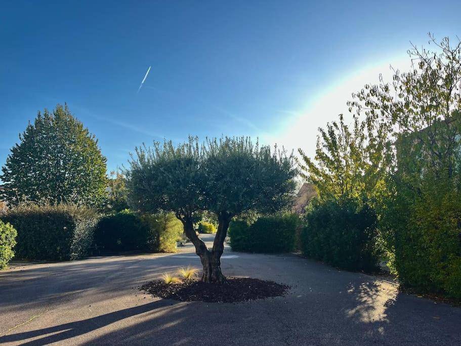 Maison Village Vacances Demeures Du Ventoux Aubignan Εξωτερικό φωτογραφία