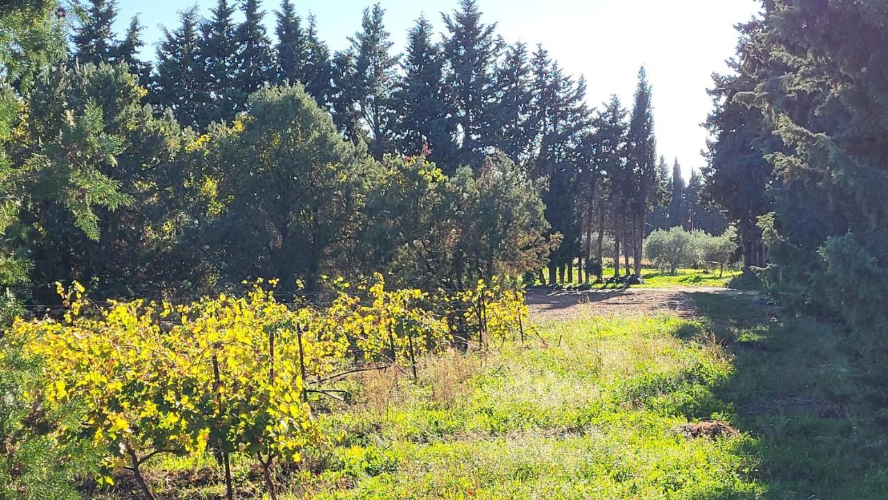 Maison Village Vacances Demeures Du Ventoux Aubignan Εξωτερικό φωτογραφία
